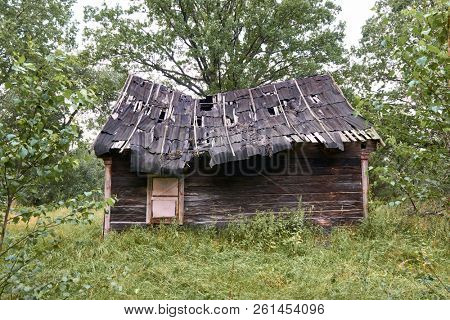 old wooden house in the forest