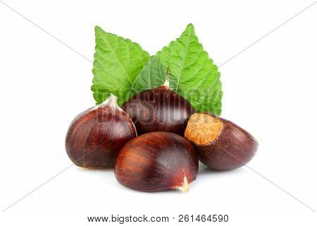 Fresh Chestnuts With Leaves Isolated On White Background. Hippocastanum.