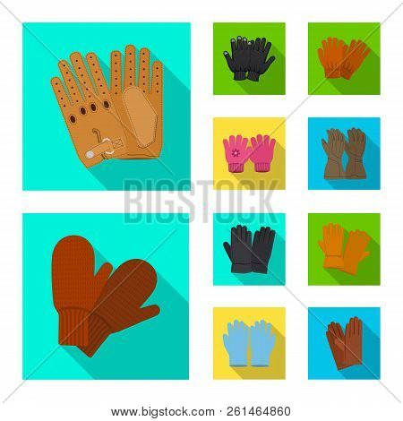 Vector Illustration Of Glove And Winter Sign. Collection Of Glove And Equipment Vector Icon For Stoc