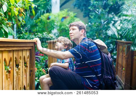 Father And Preschool Kid Boy Discovering Flowers, Plants And Butterflies At Botanic Garden.
