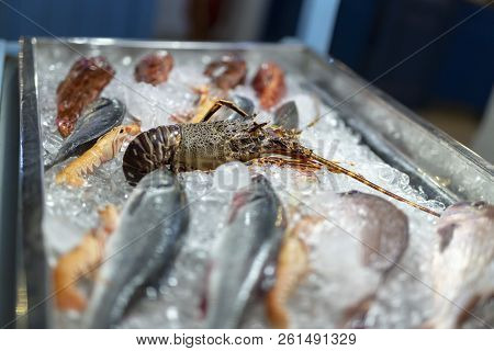 Fresh And Raw Seefood On Ice For Sale.