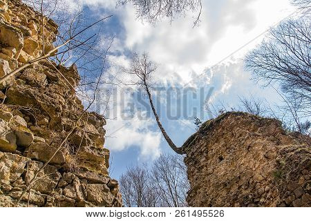 Ruins Of 