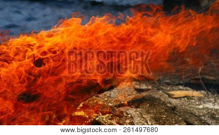 Hot Flames Burning In The Strong Wind.