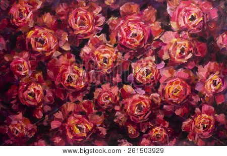 Painting Flower Canvas Background - Oil Painting Close-up Flower. Big Red Violet Flowers Rose Peony 