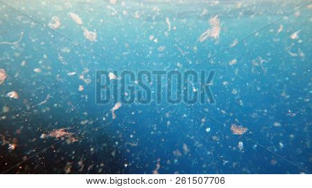 Detailed Photography Of  Sea Water Contaminated By Micro Plastic. Environment Pollution Concept.