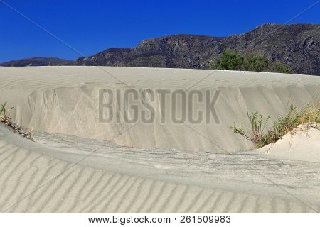 Great Beach Elafonisi. Greece, Crete. Sand Dunes With Grass And Clear Blue Sky.