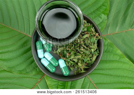 Mitragynina Speciosa Or Kratom