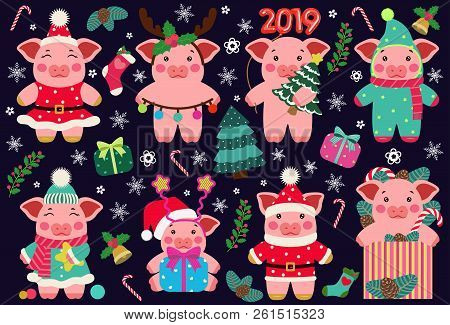 Set Happy New Year Cute Pigs Postcard Chinese. Symbol Of The Year 2019 Vector Illustrtion. Merry Chr