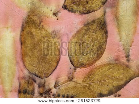 Botanical Print With Leaf Prints On Natural Silk. Hand-drawn Illustration.11
