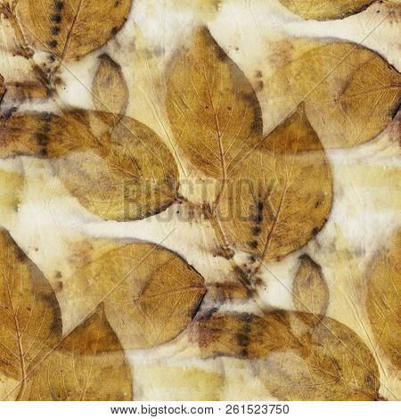 Seamless Botanical Print With Leaf Prints On Natural Silk. Hand-drawn Illustration.16