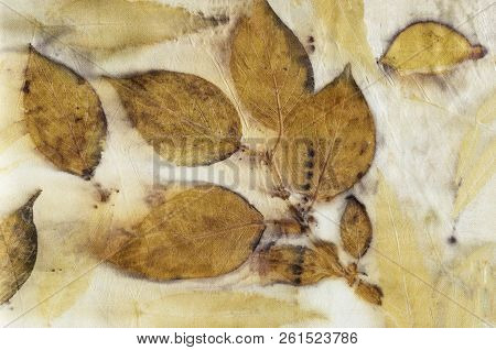Botanical Print With Leaf Prints On Natural Silk. Hand-drawn Illustration.15
