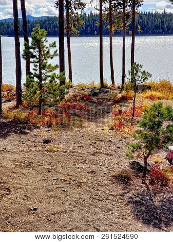 Foliage In Vibrant Fall Colors Of Red And Yellow Along The Shores Of Elk Lake In The Cacade Mountain