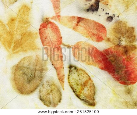 Botanical Print With Leaf Prints On Natural Silk. Hand-drawn Illustration.2