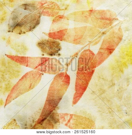 Botanical Print With Leaf Prints On Natural Silk. Hand-drawn Illustration. 1