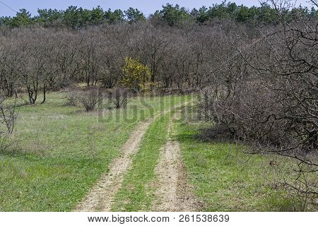 The Dirt Road Descending From The Tokluk-syrt Mountain Ridge, Crimea. Spring, Early April.