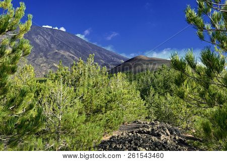 volcanic landscape of Etna Park, Sicily