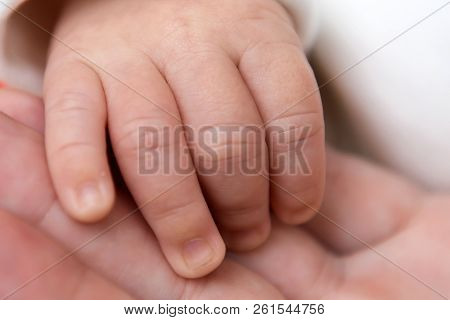 Gentle Fingers Hand Newborn Close. The Tenderness Of Motherhood Is In The Details. Procreation In Ch