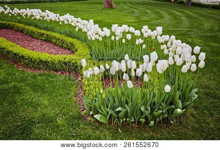 Gulhane Park Is A Historical Urban Park In Istanbul, Turkey.