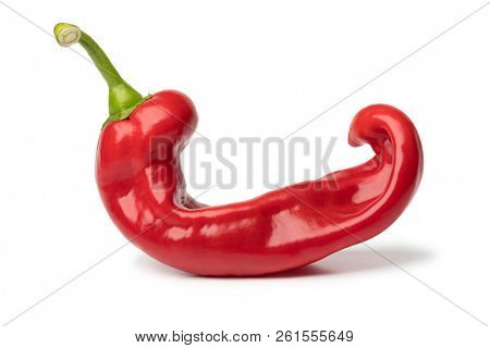 Single natural shaped organic red fresh pointed bell peppers isolated on white background