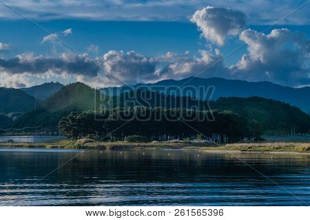 Pine Trees On River Island