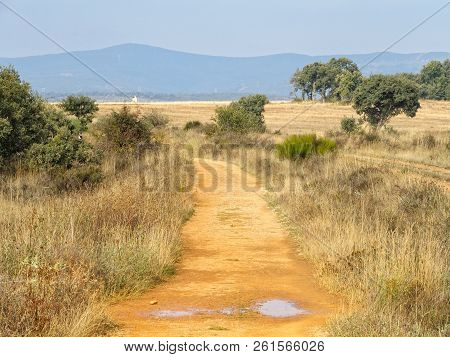 Camino Track Approaches The Mountains - El Ganso, Castile And Leon, Spain