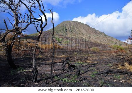 Koko Crater