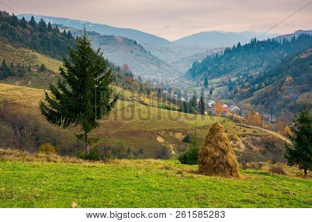 Beautiful Rural Area Of Carpathian Mountains. Haystack And Spruce Tree On Edge Of A Hill. Village Do