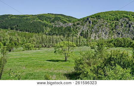 Springtime Green Forest, Rock, Glade And Valley  In The Lozen Mountain, Near To Pasarel Village, Bul