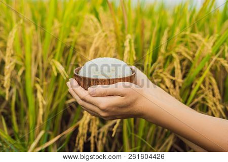 The Hand Holds A Cup Of Boiled Rice In A Wooden Cup, Against The Background Of A Ripe Rice Field