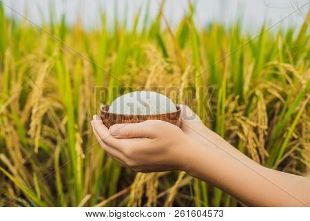 The Hand Holds A Cup Of Boiled Rice In A Wooden Cup, Against The Background Of A Ripe Rice Field
