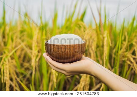 The Hand Holds A Cup Of Boiled Rice In A Wooden Cup, Against The Background Of A Ripe Rice Field