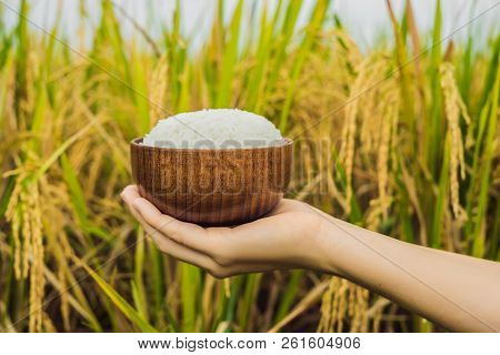 The Hand Holds A Cup Of Boiled Rice In A Wooden Cup, Against The Background Of A Ripe Rice Field