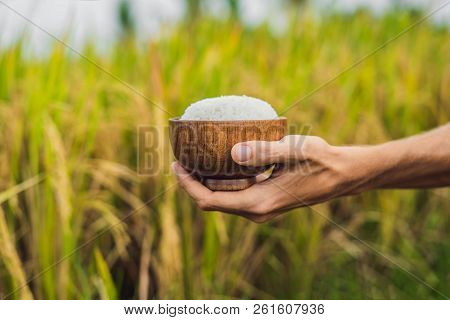 The Hand Holds A Cup Of Boiled Rice In A Wooden Cup, Against The Background Of A Ripe Rice Field