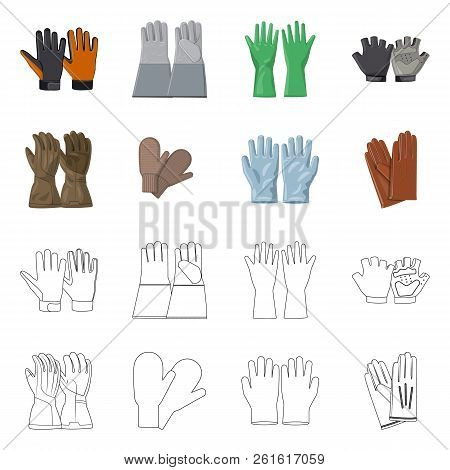 Vector Illustration Of Glove And Winter Symbol. Set Of Glove And Equipment Stock Vector Illustration
