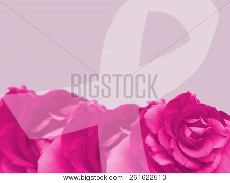 Pink October, Breast Cancer Awareness Month, Fighting Desise