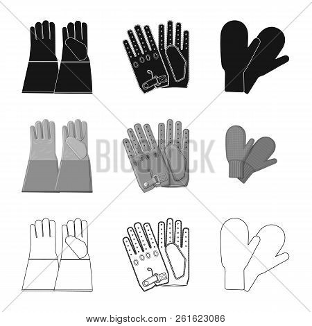 Vector Illustration Of Glove And Winter Logo. Set Of Glove And Equipment Vector Icon For Stock.