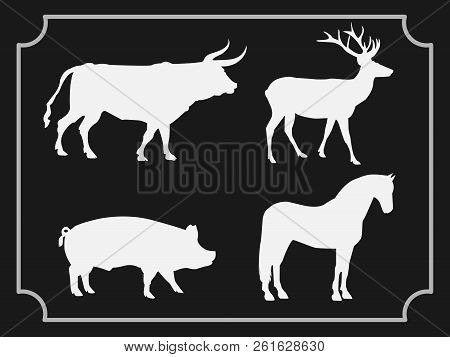Set Of Animals Isolated On Black Background. Design Elements For Logo, Label, Sign. Vector Illustrat