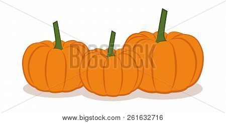 Three Orange Pumpkings Isolated On White Background Vector Illustration Eps10