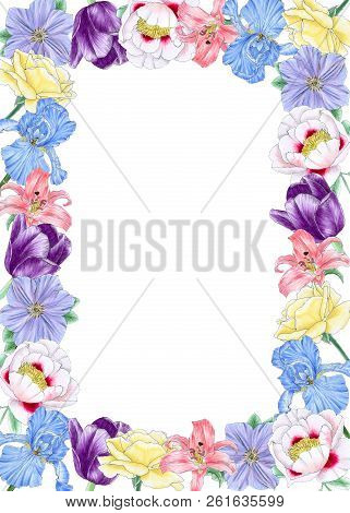 Frame Of The Hand Painted Flowers: Lily, Peony, Rose, Iris, Clematis And Tulip. Isolated On A White 