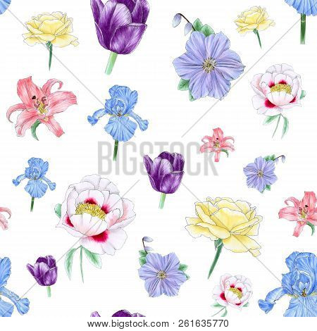 Seamless Pattern With A Hand-drawn Flowers: Lily, Peony, Rose, Iris, Clematis And Tulip. Isolated On