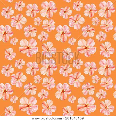Handpainted Watercolor Seamless Pattern With Pink Mallow Flowers Abutilon On Orange Background