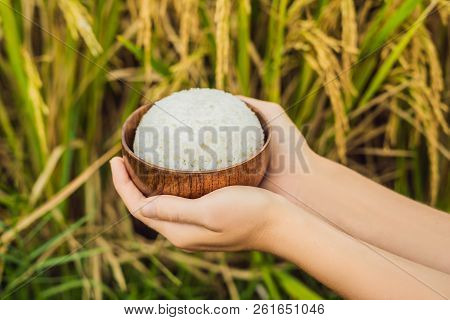 The Hand Holds A Cup Of Boiled Rice In A Wooden Cup, Against The Background Of A Ripe Rice Field