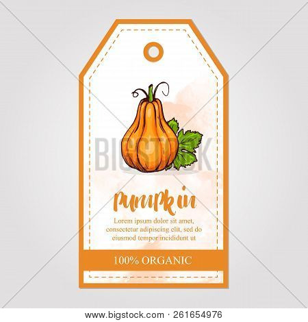 Vector Label Of Pumpkin Jam With Watercolor Background