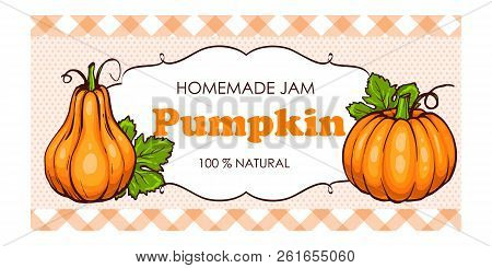 Vector Label Of Pumpkin With Watercolor Background And Colored Border