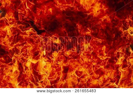 Hellish Flame As A Background. Bright Flame.