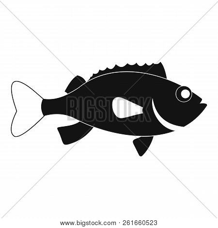 Sea Bass Fish Icon. Simple Illustration Of Sea Bass Fish Icon For Web