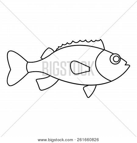 Sea Bass Icon. Outline Illustration Of Sea Bass Icon For Web