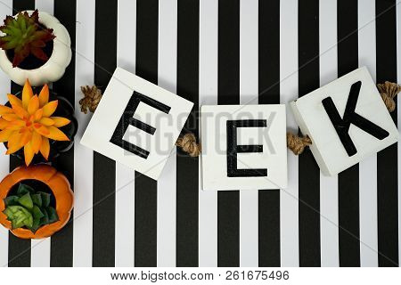 Eek Halloween Phrase Letters On Fun Black And White Stripe Background And Pumpkin Succulents Cactus.