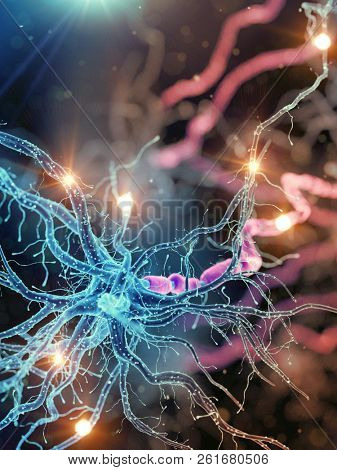 3d rendered medically accurate illustration of an active human nerve cell