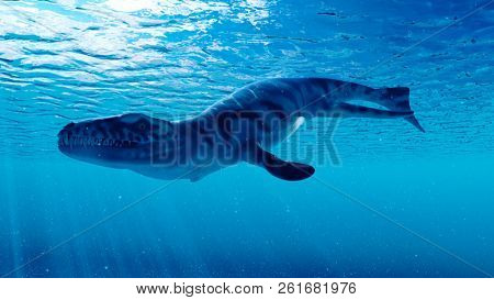 3d rendered illustration of a dakosaurus